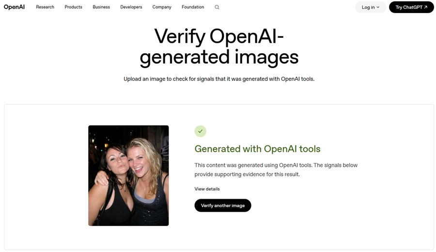 openai verify success